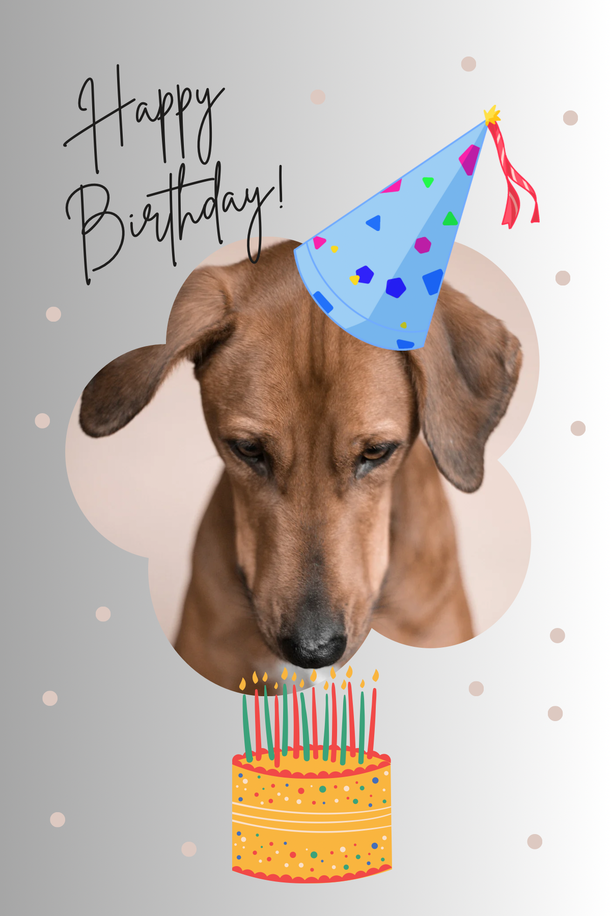 Dog Birthday card